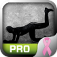 Butts Trainer Pro - Exercise for PINK
